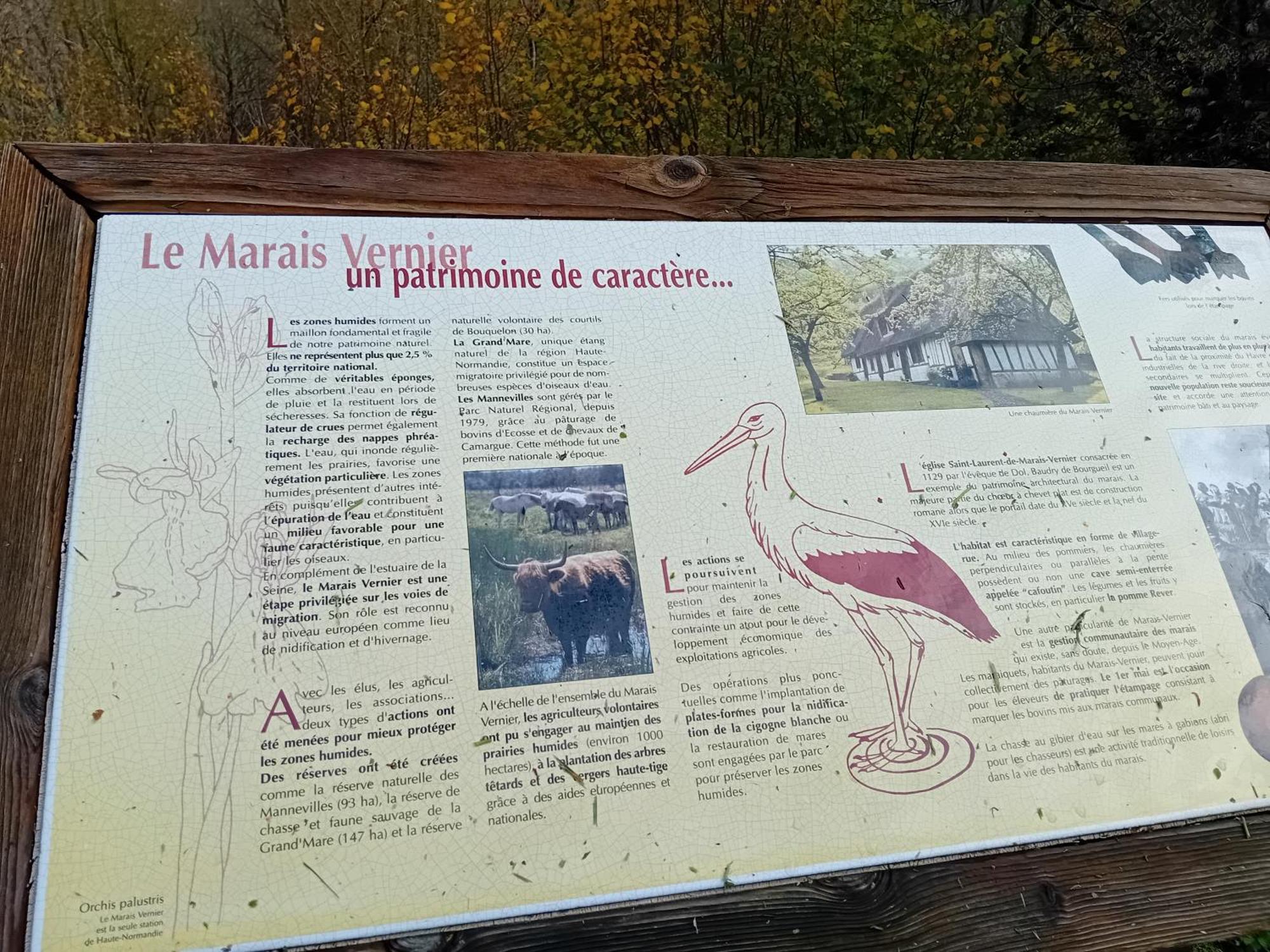 Gite Du Roy Marais-Vernier Exterior photo